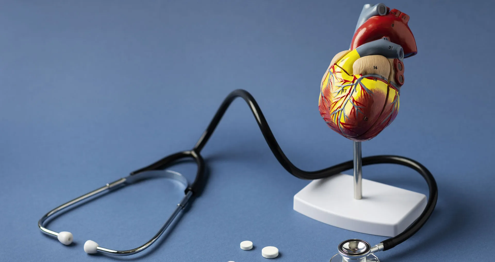 Top Medical Coding Specialties in High Demand Across the USA